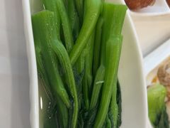 -金华安大酒楼·老牌潮菜·粤式茶点(东方国际店)