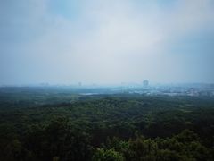 -紫金山索道-售票处