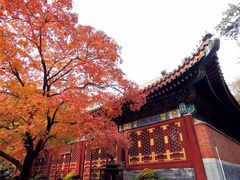 -香山公园
