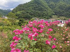 -镇坪县曙坪小学