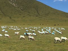-青海湖国家重点风景名胜区