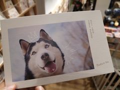 -猫的天空之城概念书店(苏州平江店)