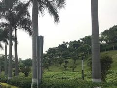 -五通灯塔公园