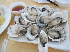 清蒸海蛎子-海岛渔村大酒店(云霄路店)