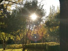-迎泽公园