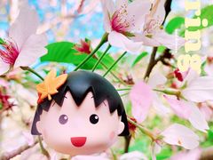 -上海滨江森林公园