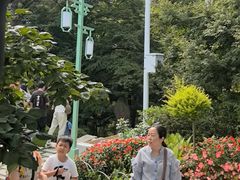 -庐山风景区花径公园