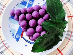 -好孕妈妈月嫂(哈尔滨总店)