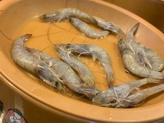 -龍歌自助小火锅(李沧丽达店)