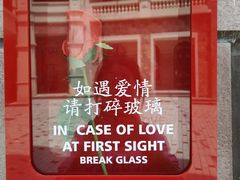 -美的鹭湖探索王国