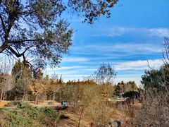 -北京西山国家森林公园