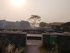 -宁波杭州湾国家湿地公园