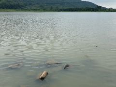 -风云岭森林公园