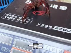 -祥鹤龙虾螃蟹