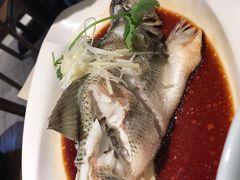 -T11生鲜超市(朝阳公园店)