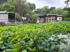 -莲湖公园