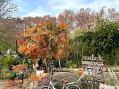 -HERRE·FARM 赫尔露营农场·团建聚会包场