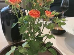 -九福楼大酒店