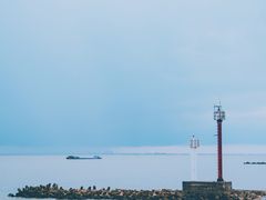 -上海滨江森林公园