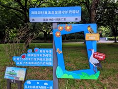 -海珠湖公园
