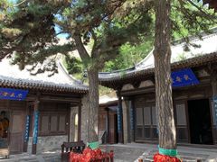 -雁门关景区
