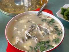 -煲来饱去冷水鱼