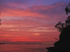 -上海吴淞炮台湾国家湿地公园