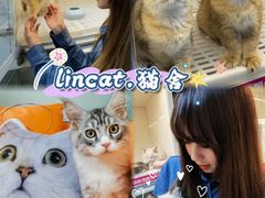 -lincat·猫舍(广州店)