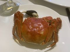 -万龙洲海鲜(大兴绿地缤纷城店)