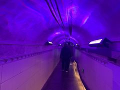 -洞庭洲·防空洞火锅·铜锅涮肉·烧烤(新百广场店)