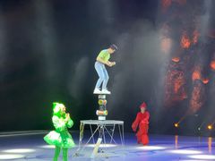 -重庆国际马戏城
