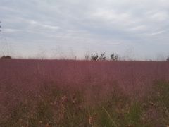 -汉长安城未央宫国家考古遗址公园