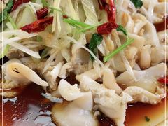 -林之六八·6886大连老菜馆