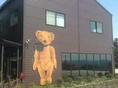 -济州岛泰迪熊博物馆