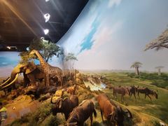 -陕西自然博物馆