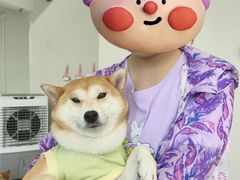 -怪兽屋·羊驼·猫咖·狗咖(俊华广场店)
