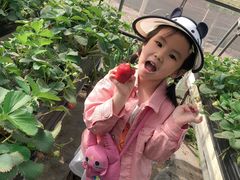 -甜心庄园·甜心草莓采摘园(西青中北店)