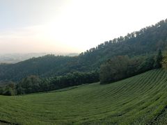 -敬亭山风景名胜区