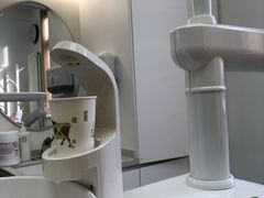 -美冠塔口腔(酒仙桥分院)