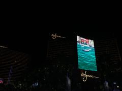 -拉斯维加斯永利酒店