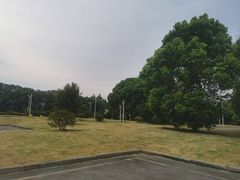 -胜华驾校·小猫学车(银都店)