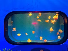 -南昌融创海世界