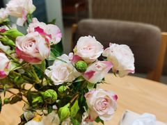 -Oasis coffee燕谷咖啡(公信店)