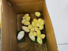 -三旗百汇商品城