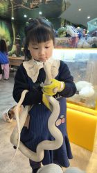 -神奇动物撸宠馆·羊驼·小浣熊·异宠(豫园店)