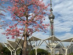 -文华公园(禅城区)