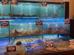 水产区-南海渔家•海鲜•正宗海南菜(海棠湾店)
