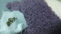 -WPlus明星肖像亲子全家福摄影