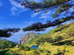 -黄山风景区