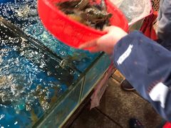 -华威西营里农产品批发市场
